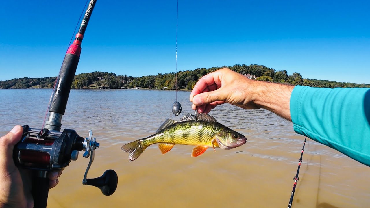 Kayak Catfish and Carp Fishing with Cut Bait and Worms