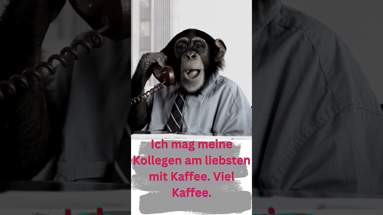 Kollegen sind doch die Besten 😘 !!1 #kollegen #lustig #lustigevideos #comedy #kollegenhumor