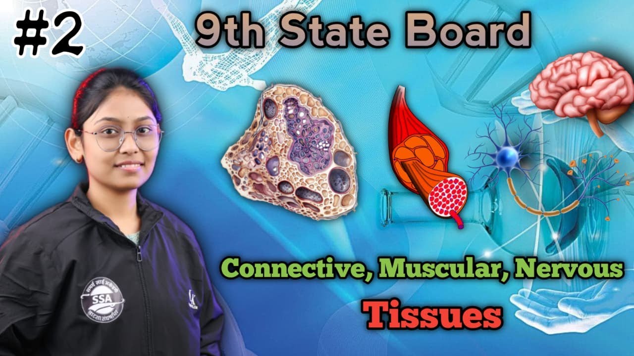 Types of Tissues | Introduction to biotechnology #2 | 9th STATE BOARD Marathi