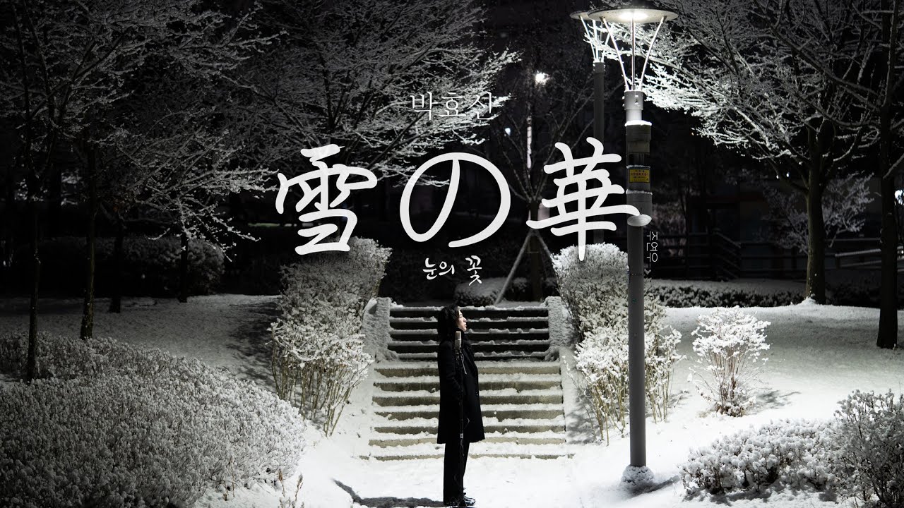 Park Hyo-shin - Снежный цветок (雪の華) ㅣ Суперзвездочная обложка ㅣ Накасима Мика