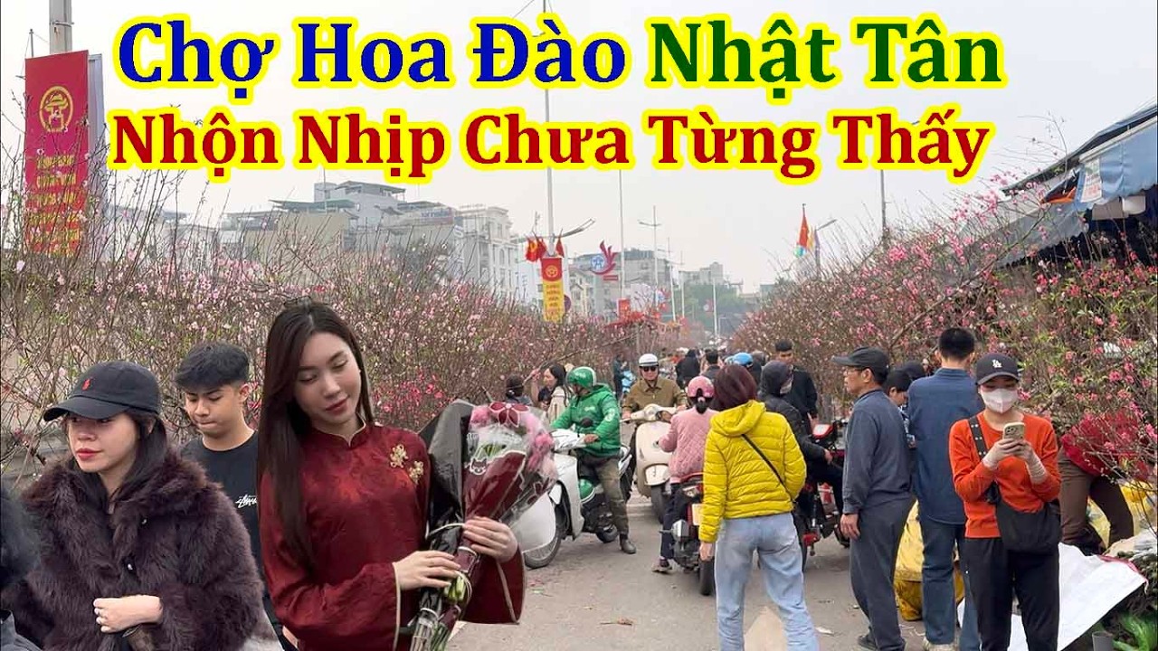 Tết Hà Nội 2026 - Chợ Hoa Đào Nhật Tân Nhộn Nhịp Chưa Từng Thấy