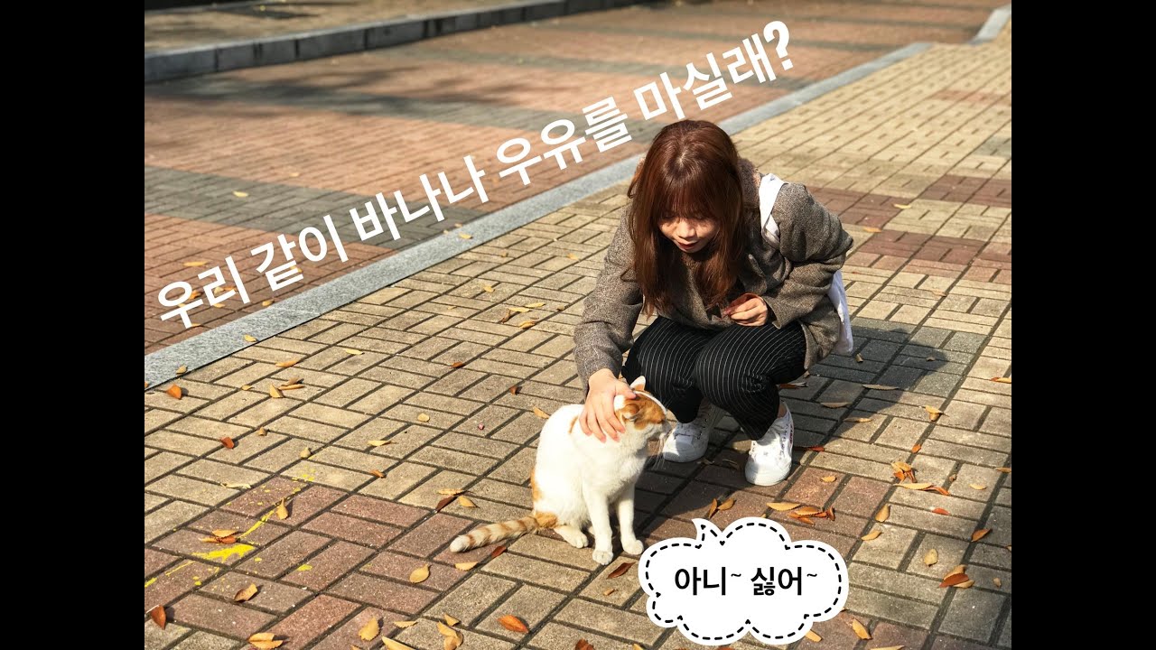 So sánh ngữ pháp V(으)ㄹ까요 và V(으)ㄹ래요, phân biệt với V(으)ㅂ시다 ㅣ Gia sư Tiếng Hàn Park HA