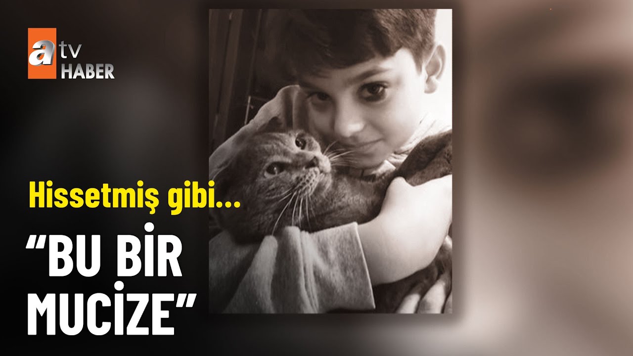 ÖZEL HABER – Mattia Ahmet Minguzzi’in kedisi ‘Pandi’ evine döndü  - atv Ana Haber 20 Şubat 2025