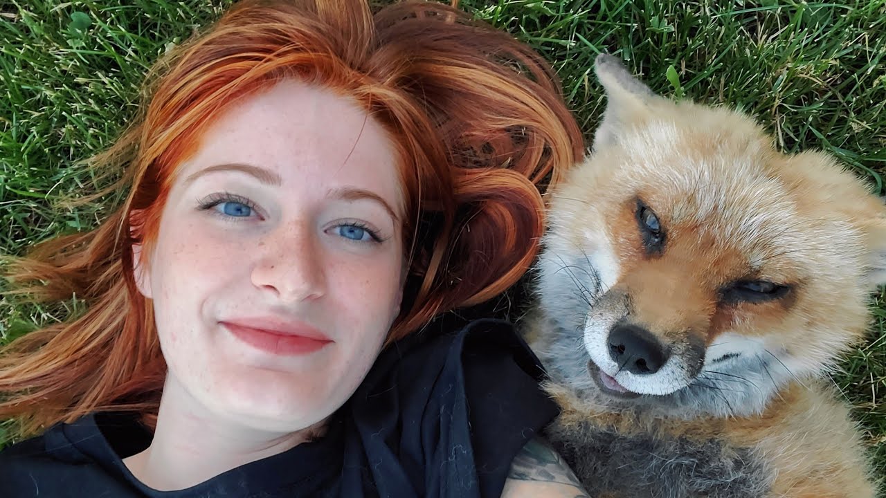 Farewell Finnegan Fox