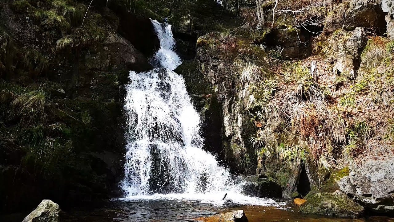 Cascade & vallée de Chorsin - Monts du Forez (42)