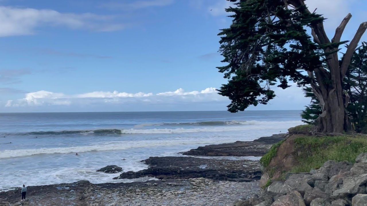 Swift Street and Mitchell's surf going off on the Westside of Santa Cruz