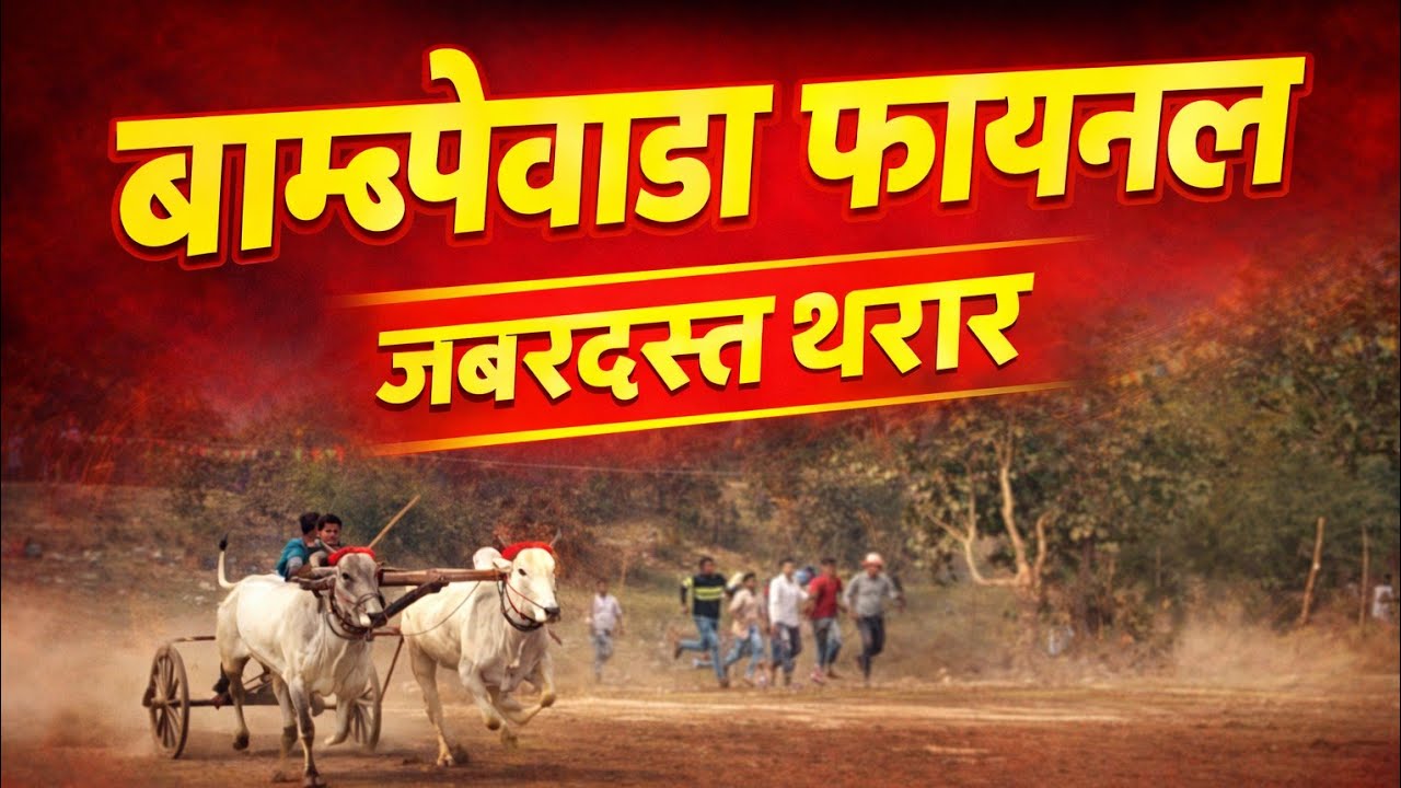 🔥बाम्पेवाडा पट फायनल😱| जबरदस्त चर्चा | कोण योग्य जिंकलं?|Full Final विडिओ #बैलगाडा #bailgadasharyat 