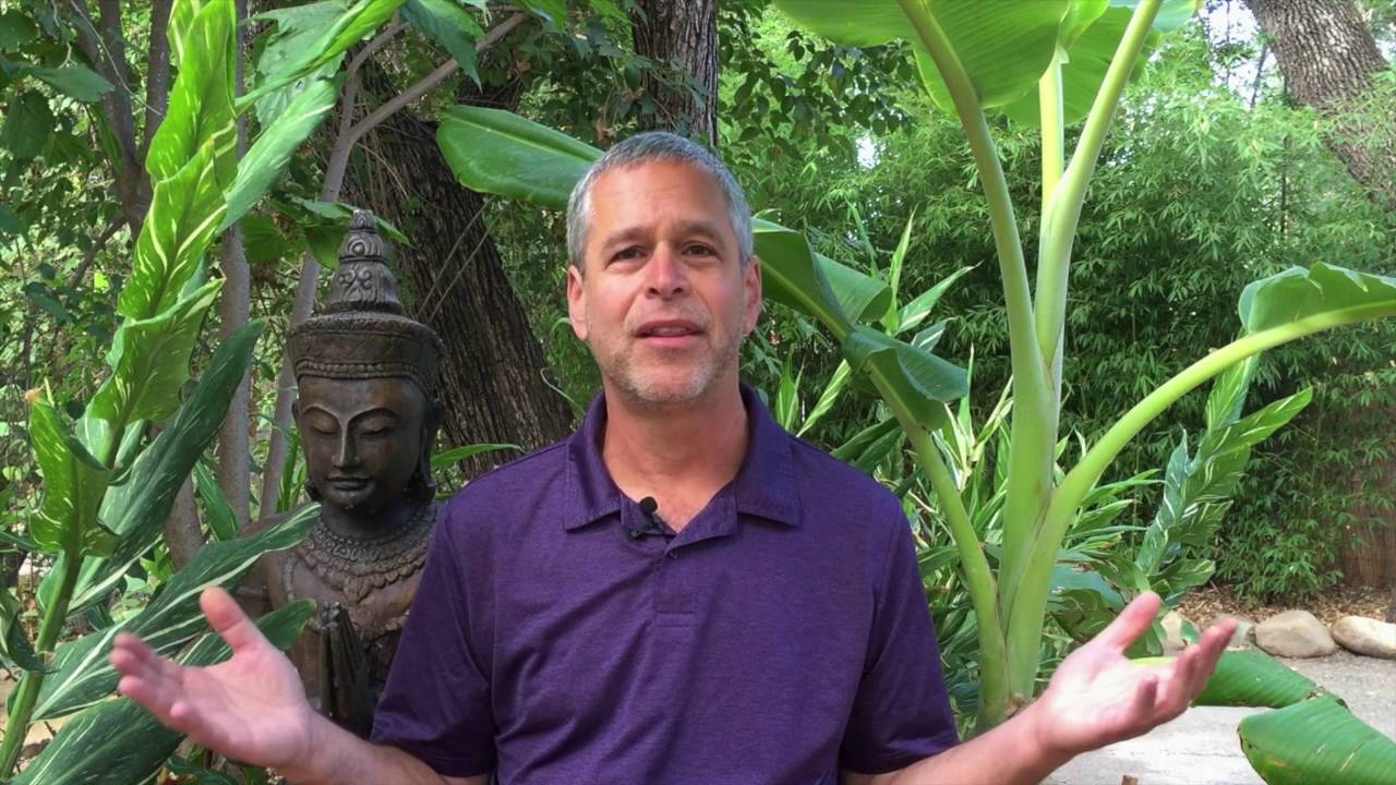 Spiritual Awakening - Part 2: 
How Much Volition Do We Have 
On The Path To Awakening