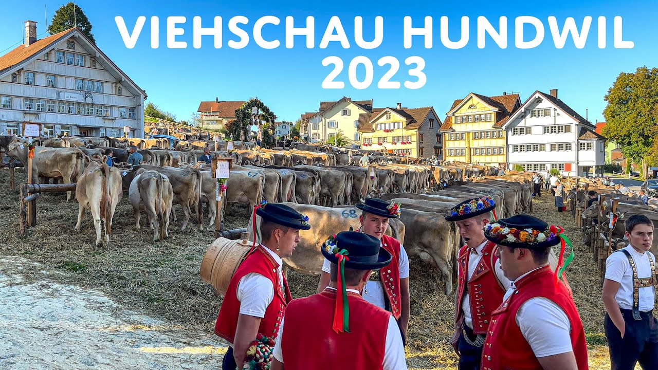 Swiss Custom🇨🇭Cattle Show Hundwil 🐮 Cattle Drive & Natural Yodeling in the Center of the Village 🫶