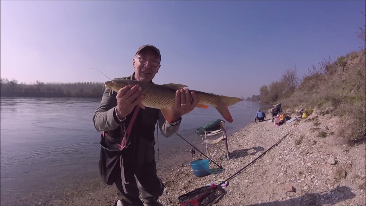 # pescafeeder #barbibig del #ticino