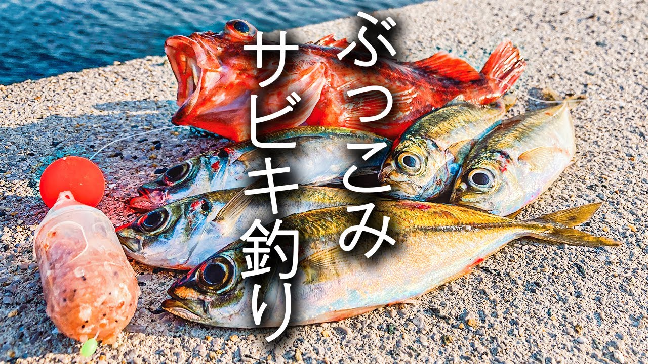 堤防からアジが簡単に釣れる、この釣りがすごかった【餌釣り】