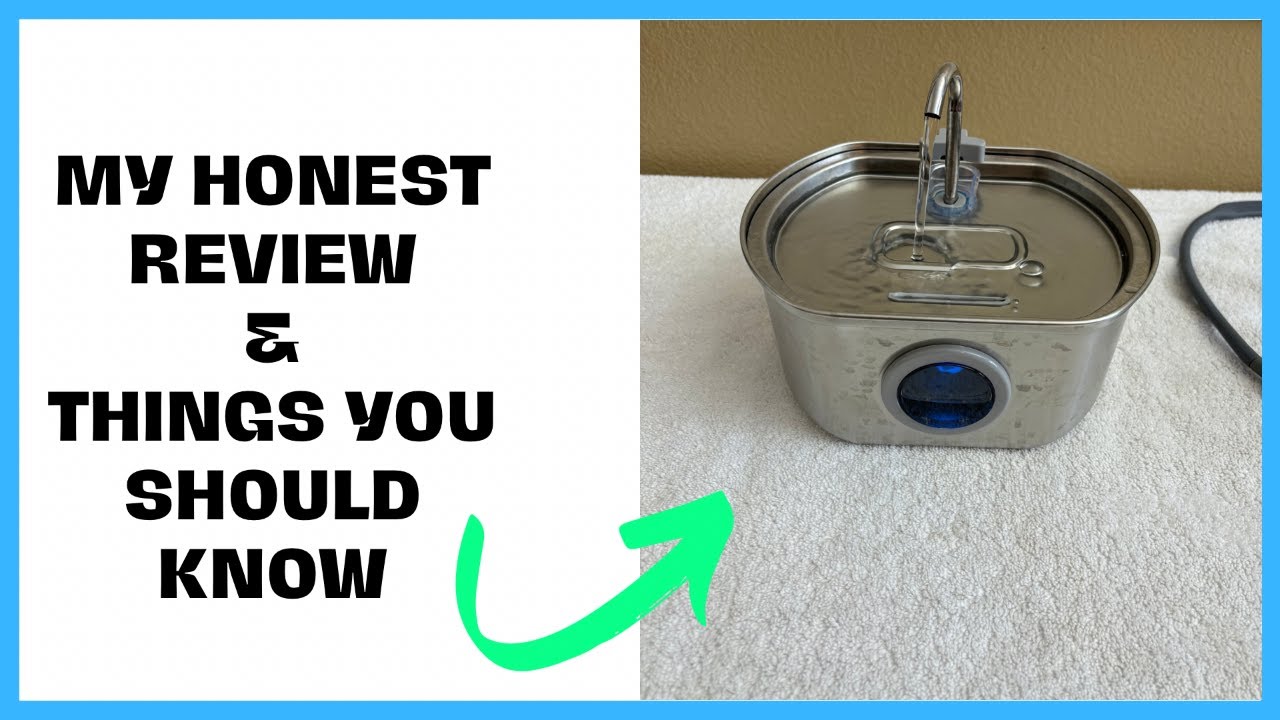 The BEST Cat Water Fountain You&rsquo;ll Ever Buy (Neareal Review)