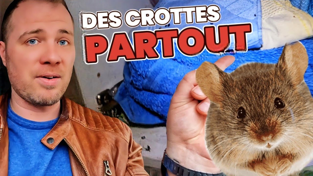 Comment se débarrasser des SOURIS ?