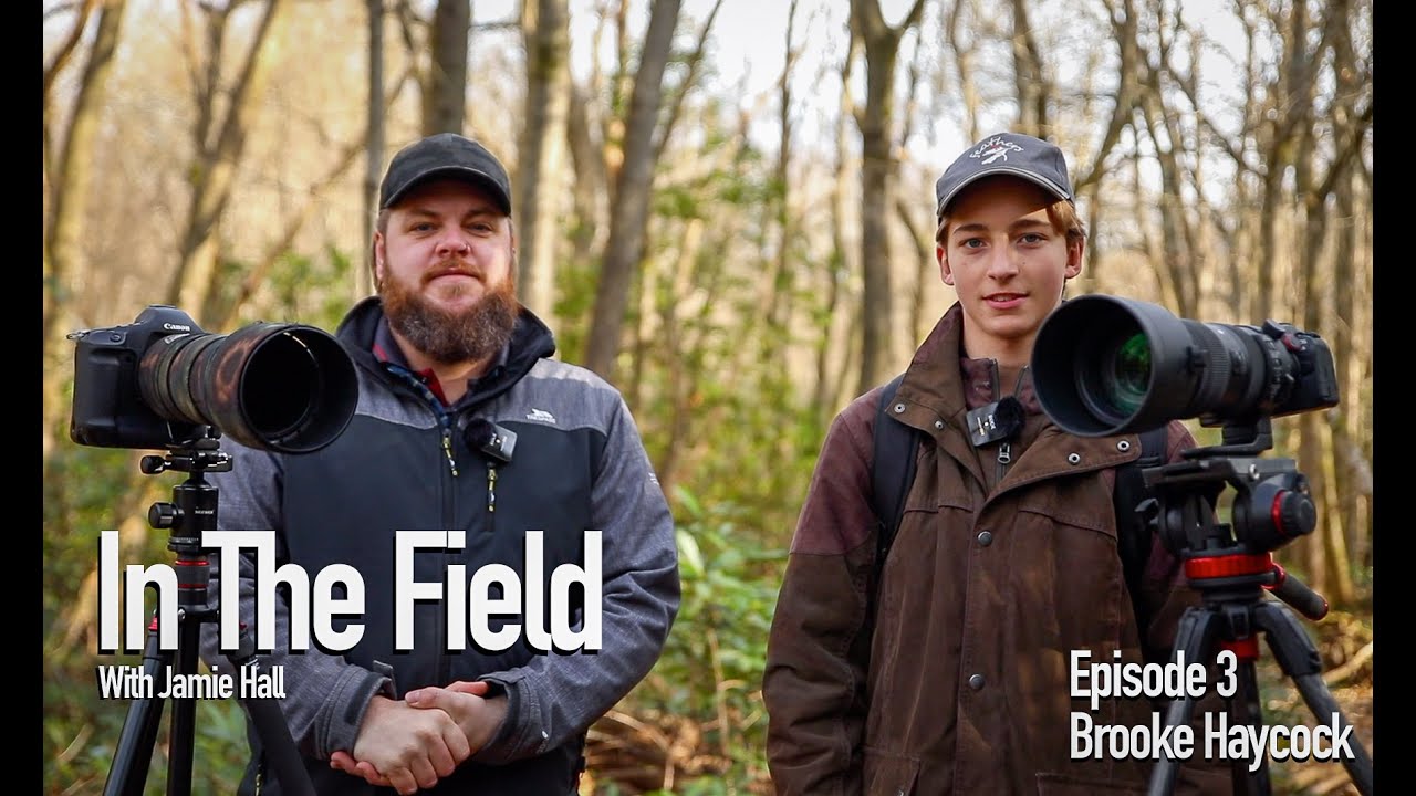 In The Field Episode 3 - Brooke Haycock - Long Lens Photography