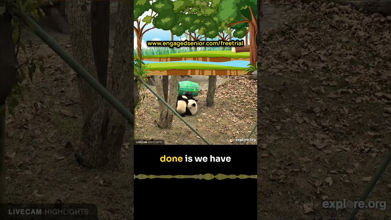 VirtualZoo activity at EngagedSenior.com #innovation #seniorliving  #seniorcommunity