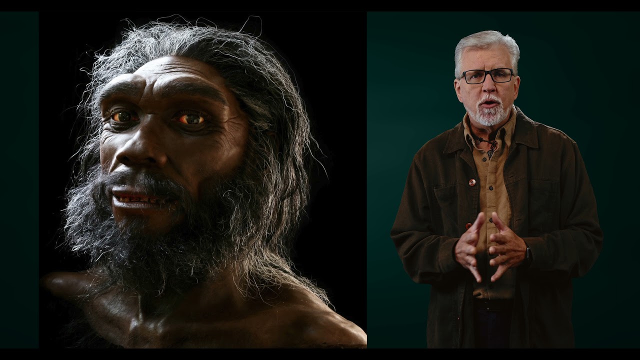 WOTM: In Quest of the Historical Adam, Part I