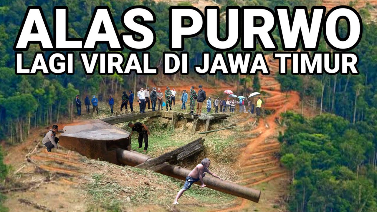 VIRAL..! ALAS PURWO LAGI VIRAL DI BANYUWANGI