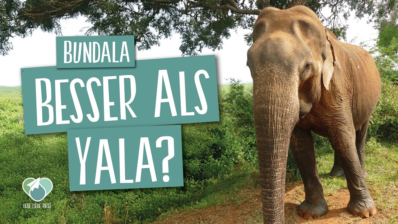 Sri Lanka Urlaub - Nationalparks und ihre Tiere/Vlog #004