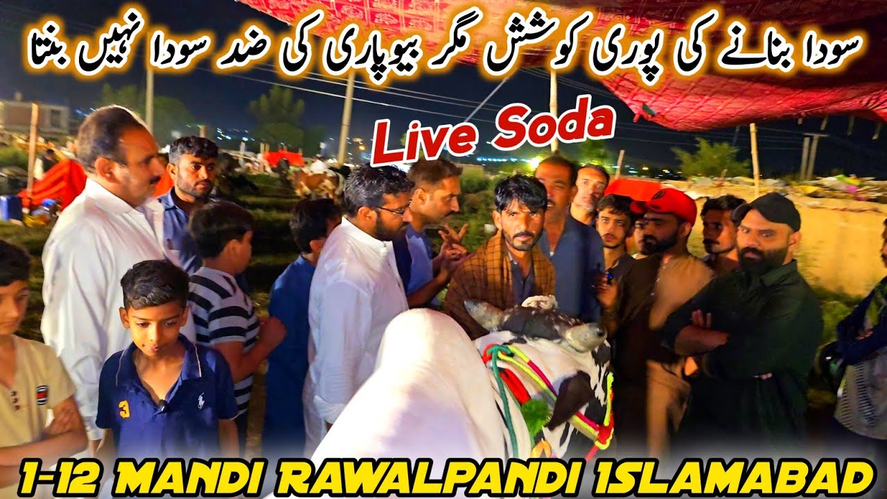 Live Soda Bargaining I-12 Mandi Rawalpindi Islamabad Update 3 June 2025 | Bhatta Chowk Mandi