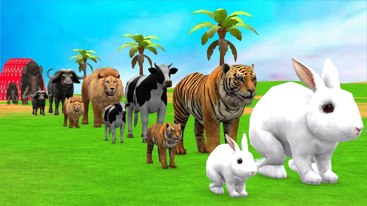 Long Slide Game with Cow Elephant Gorilla Hippopotamus Tiger 3d Animal Game Funny 3d Animals