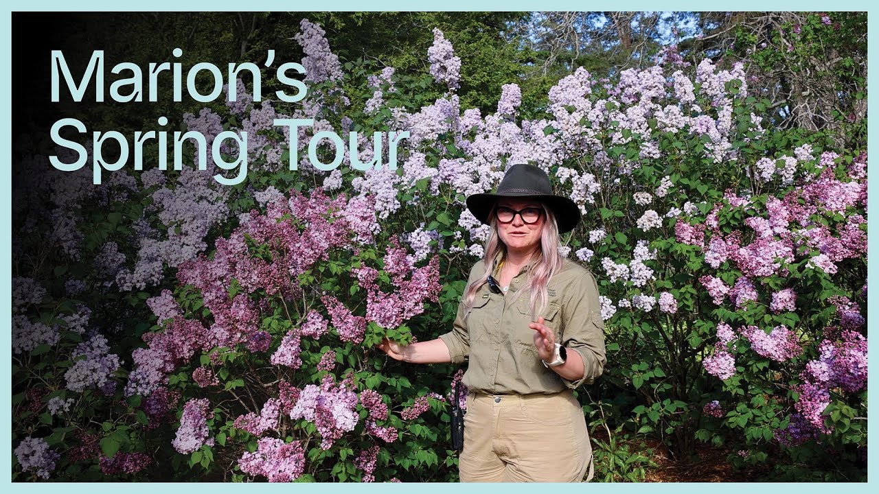 Marion's Spring Tour