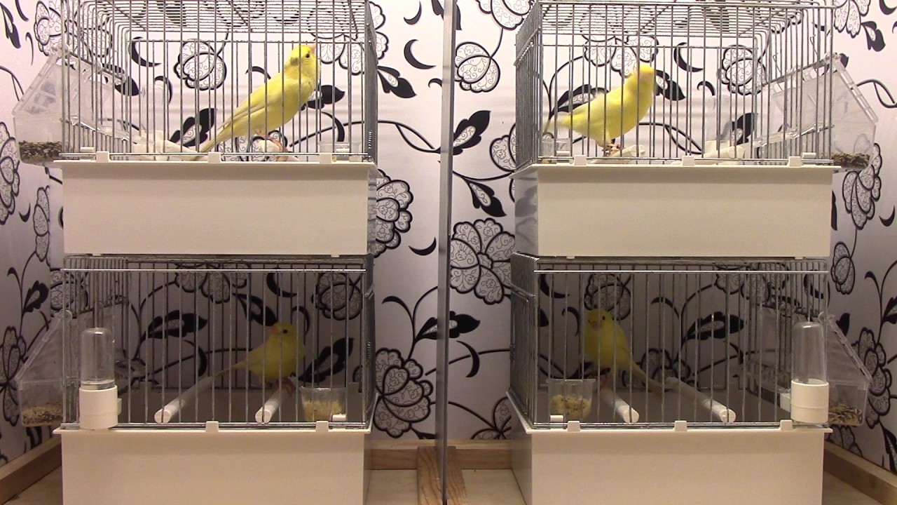 waterslager   knbb 948 - 2016