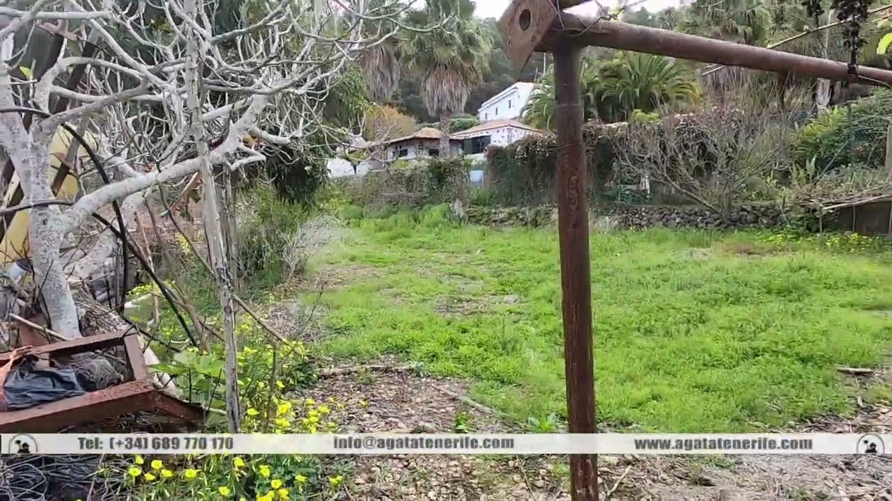 Terreno Icod de los Vinos Tenerife, 39.000 EUR