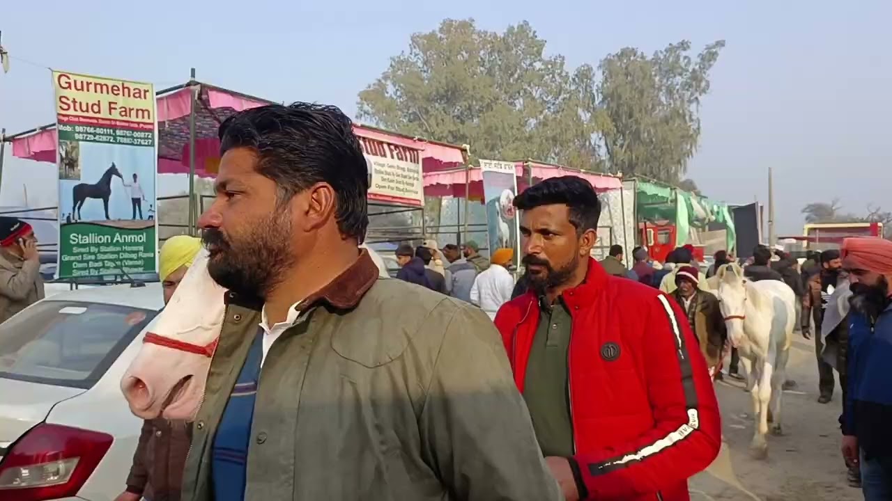 Ghodia 🐎 da Mela Muktsar Jan'2026 | Sukhbir Badal Entry in Mela | #muktsar #2026 #animals 