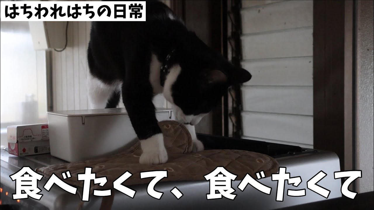 早く食べたくて