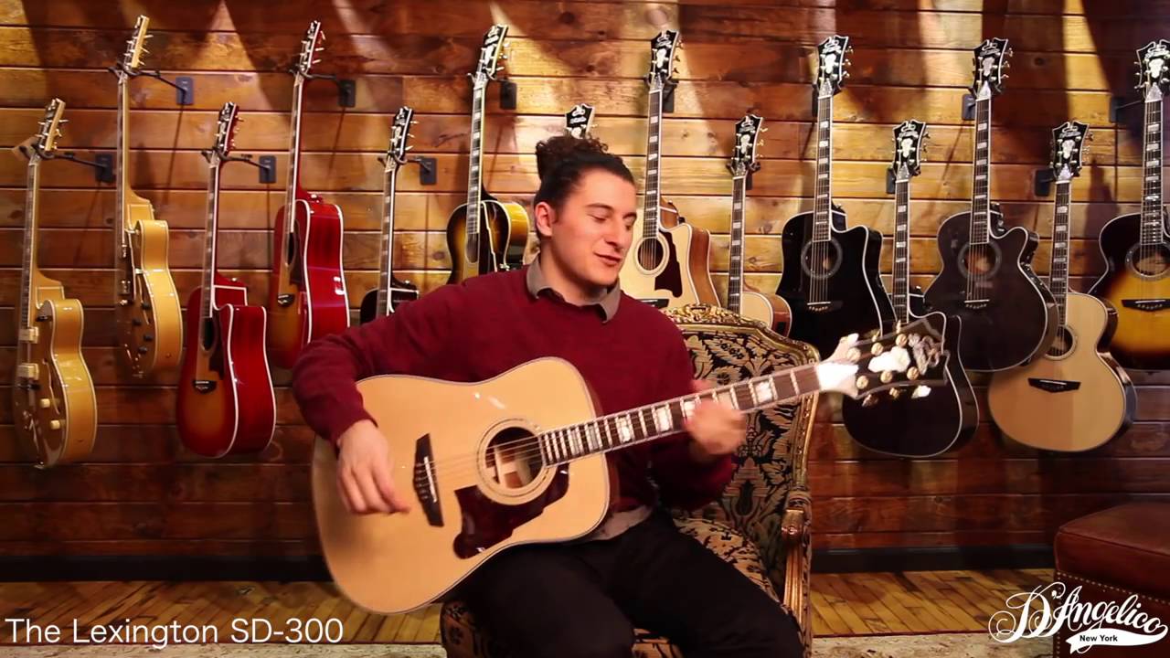 D'Angelico Guitars Lexington Dreadnought SD300