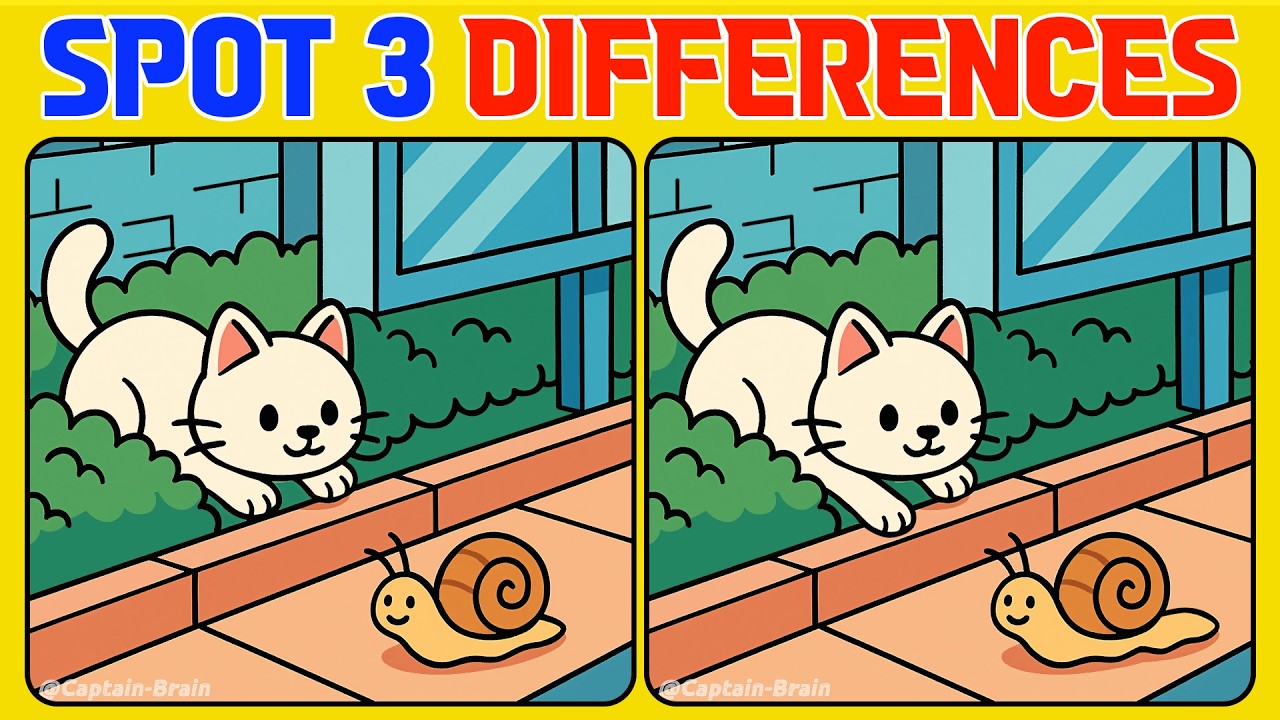 Focus Up and Find the Differences (Normal)