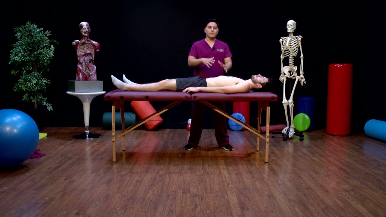 Abordaje osteopático del diafragma | Terapia Física y Rehabilitación