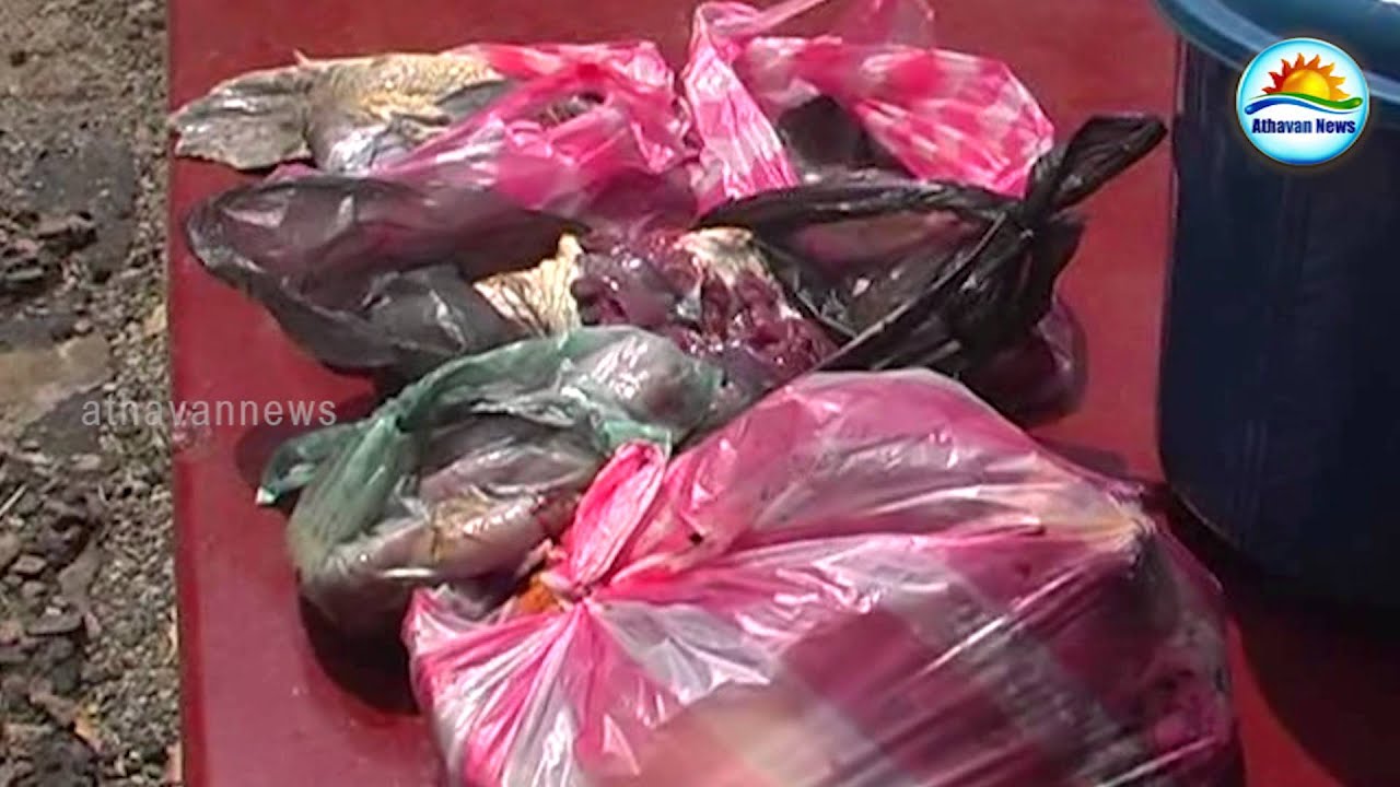 Two persons arrested with turtle meat