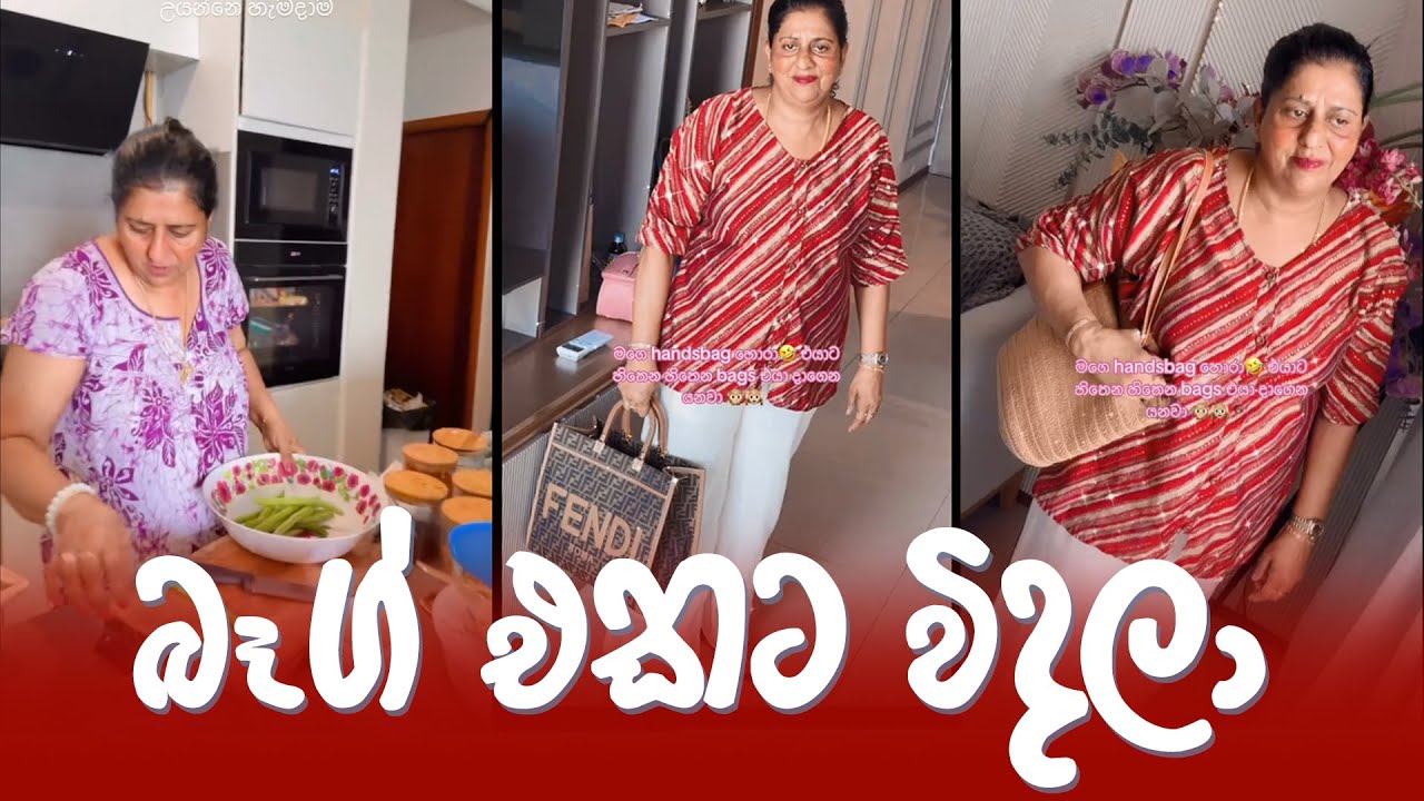 Piumi hansamali | බෑග් එකට විදලා