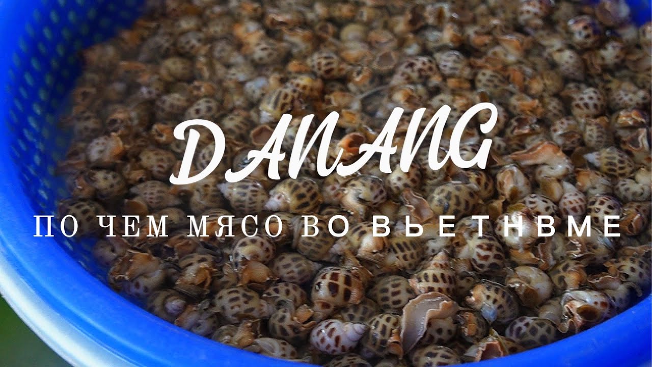 Вы бы съели это мясо? Рынок Вьетнама удивляет #vlog #vietnam #danang #ViệtNam