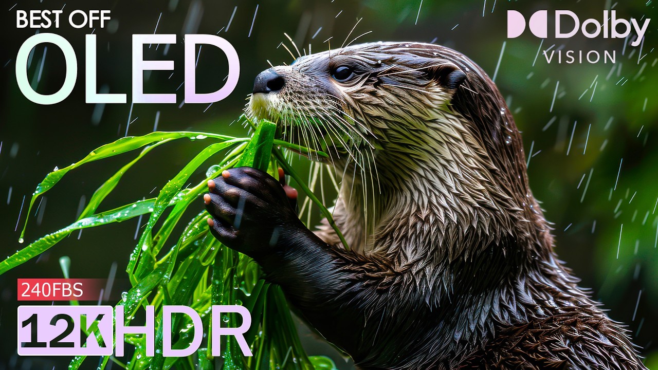 Breathtaking Beauty of the World in 12K HDR 🌍 240FPS Dolby Vision