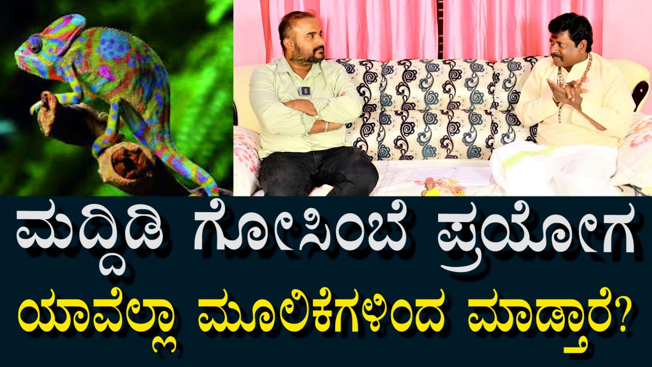 ಗೋಸಿಂಬೆ ಪ್ರಯೋಗ | ಮದ್ದಿಡು ಹೇಗೆಲ್ಲಾ ಮಾಡ್ತಾರೆ? ಯಾವೆಲ್ಲ ಮೂಲಿಕೆ ಬಳಸುತ್ತಾರೆ?
