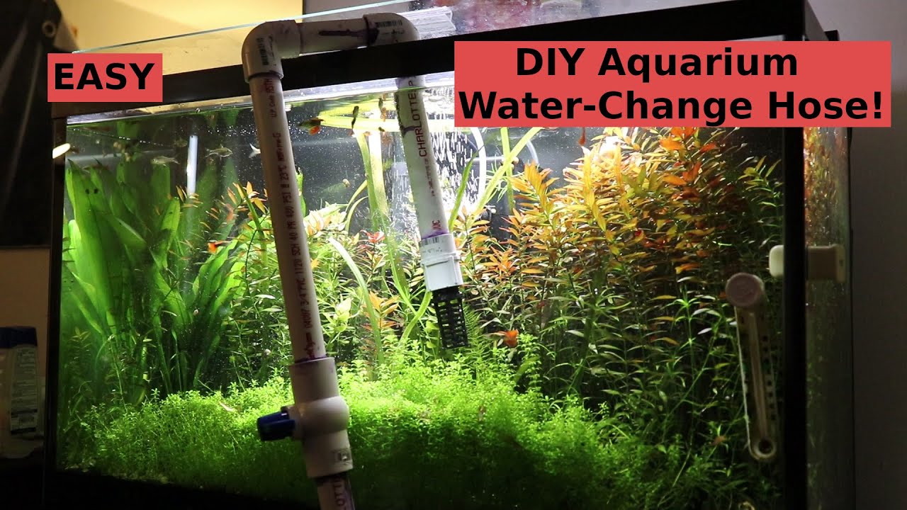 DIY Water Change System - How To Siphon Aquarium Tank - Easy