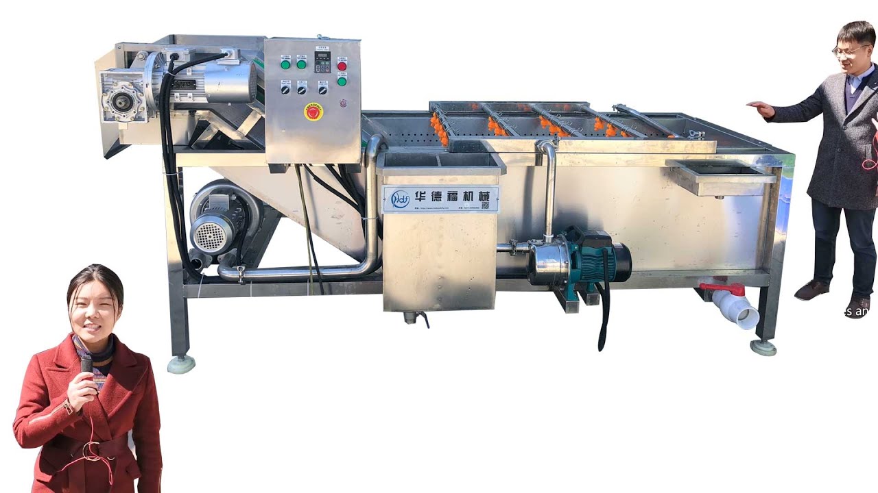 how to wash spinach -fruit vegetable bubble cleaning machine