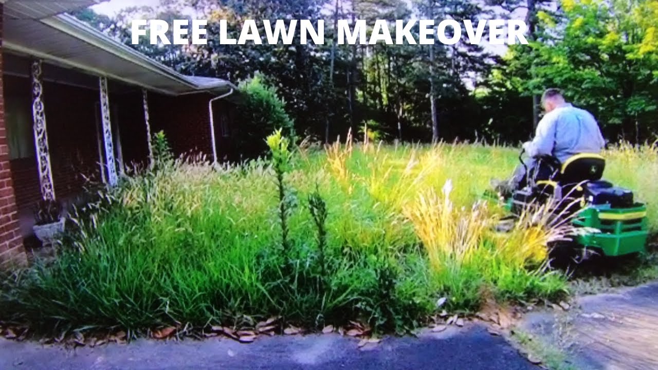 john deere z355e vs 3 foot weeds/grass ( 1 MILLION VIEWS)