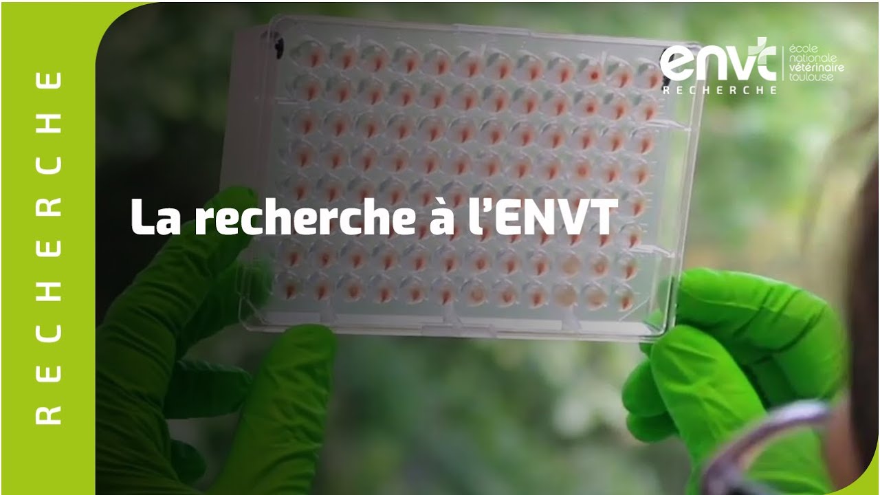 La Recherche à l'ENVT