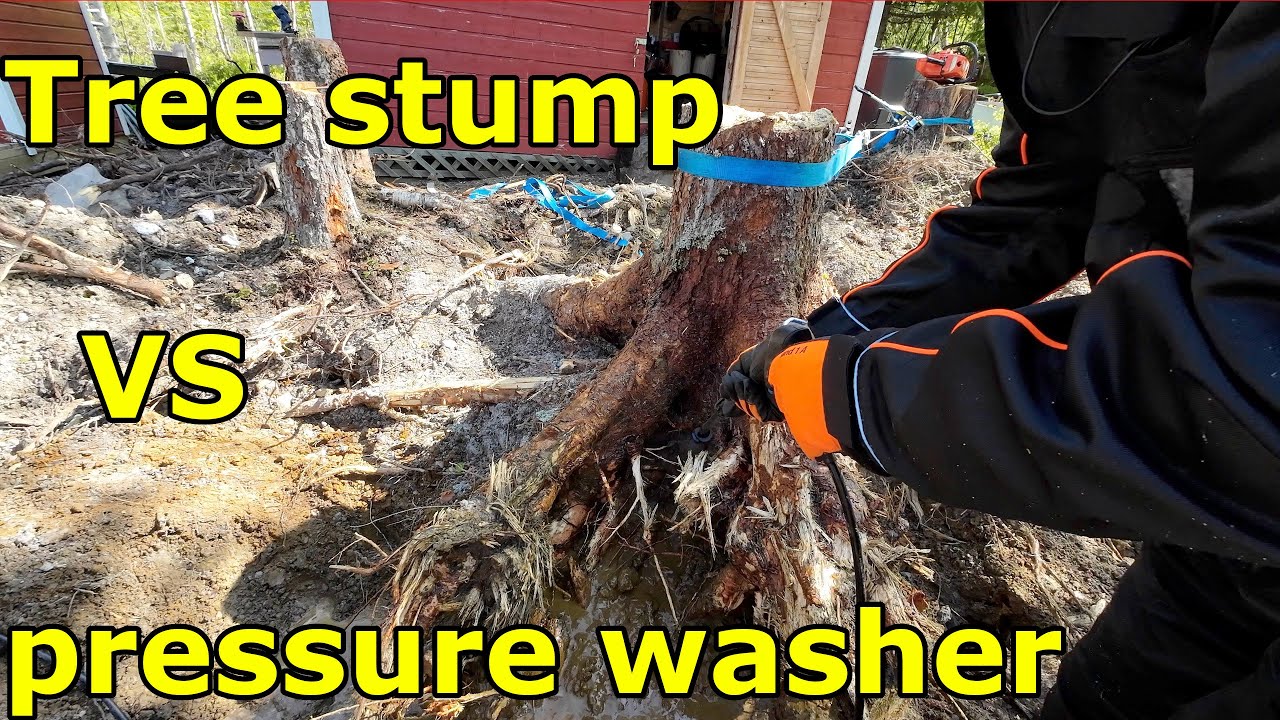 Tree stump vs pressure washer