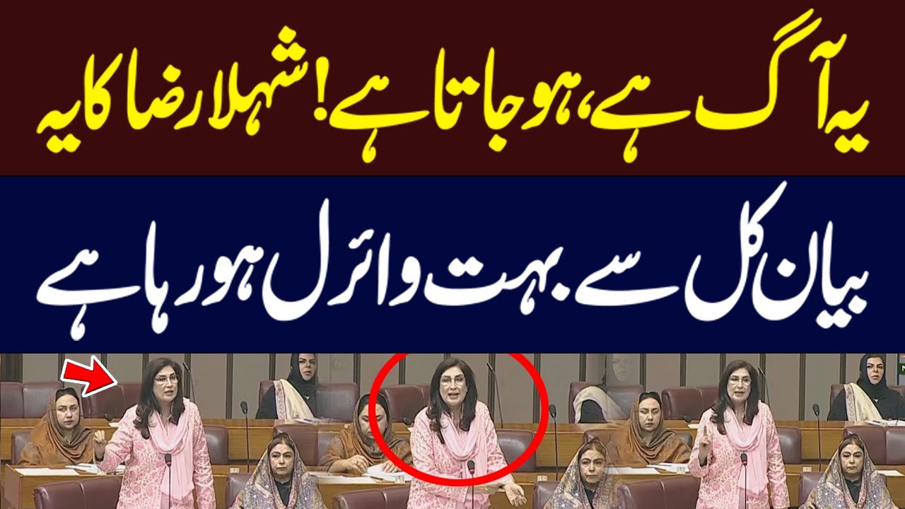 Viral Clip Of Shahla Raza | PPP Leader Shahla raza Talk About Gul Plaza Fire Hum News | Pakistan