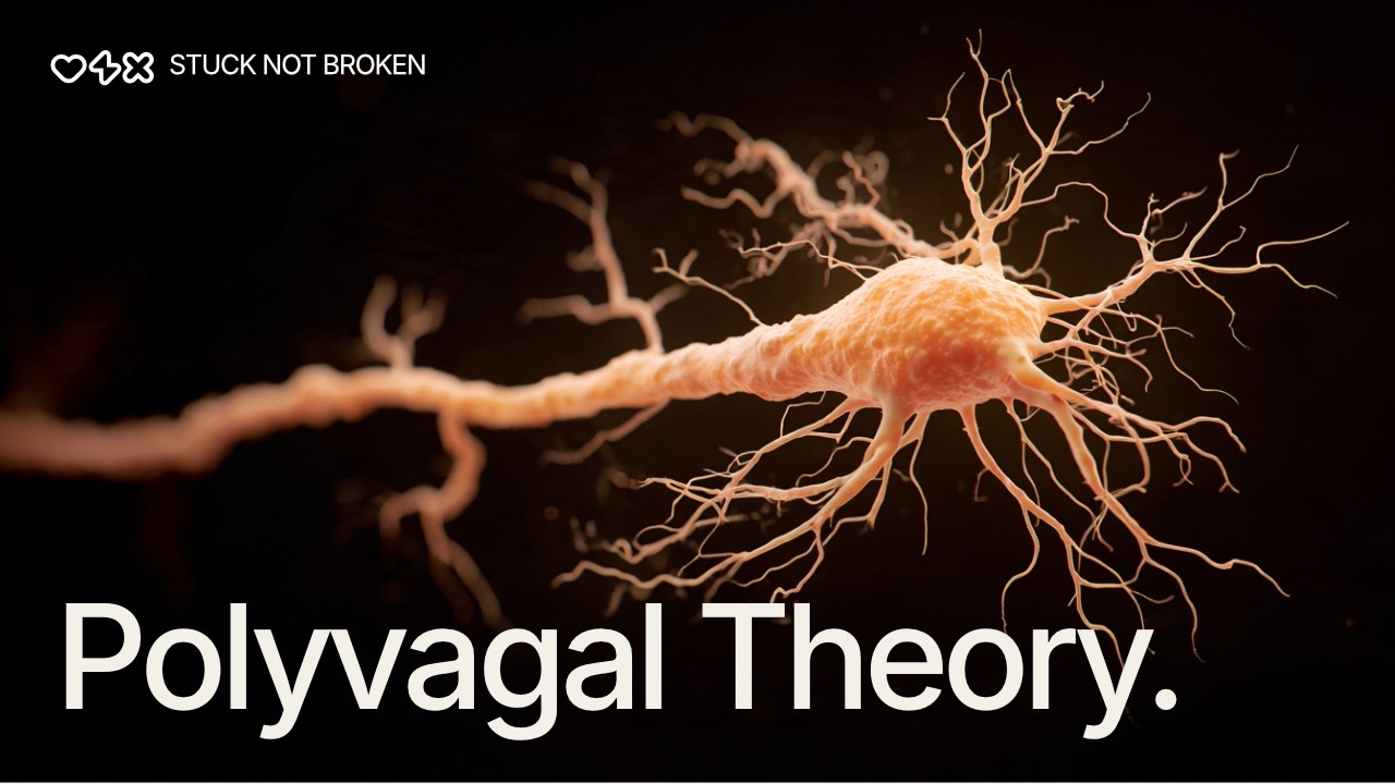 Polyvagal Theory for Total Beginners (What I Found the Most Helpful) #polyvagaltheory