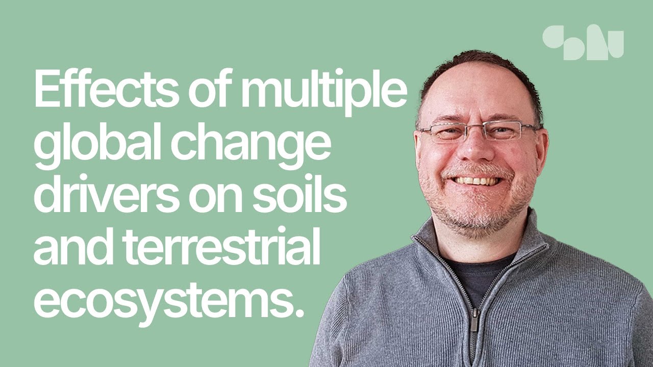 Prof. Matthias Rillig: Effects of multiple global change drivers on soils and terrestrial ecosystems