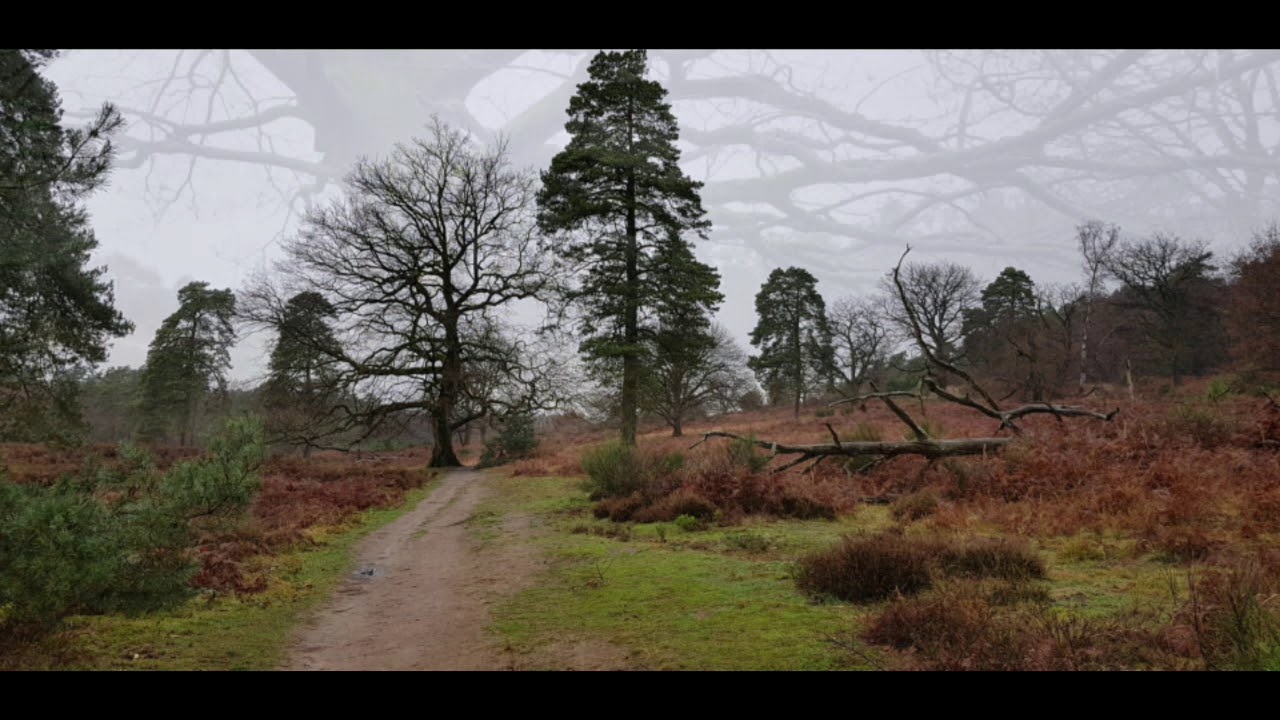 Wahnerheide...Natur zum genießen und entspannen