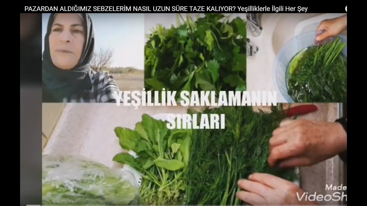 YEŞİLLİK NASIL SAKLANIR? YEŞİLLİKLE İLGİLİ HER ŞEY!!!