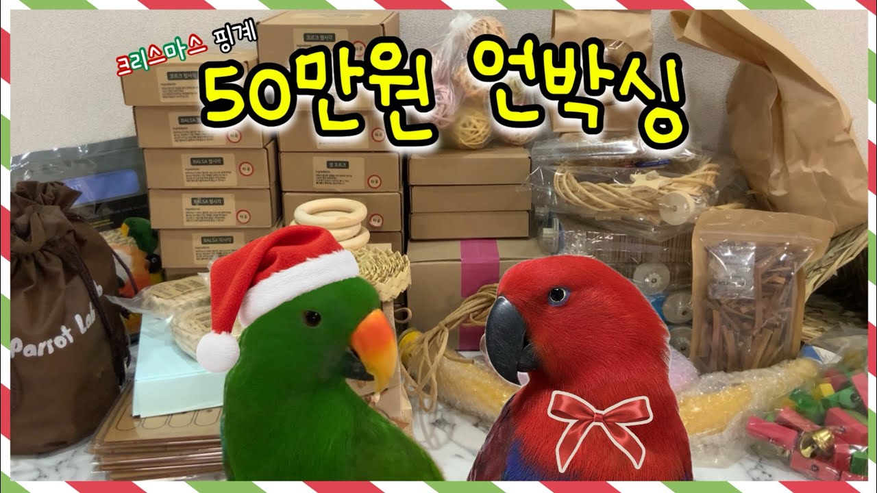 [지구젤리/언박싱] 크리스마스 핑계 장난감 쇼핑!🛍️ #푸롱이네 #앵파크 #앵무새연구소