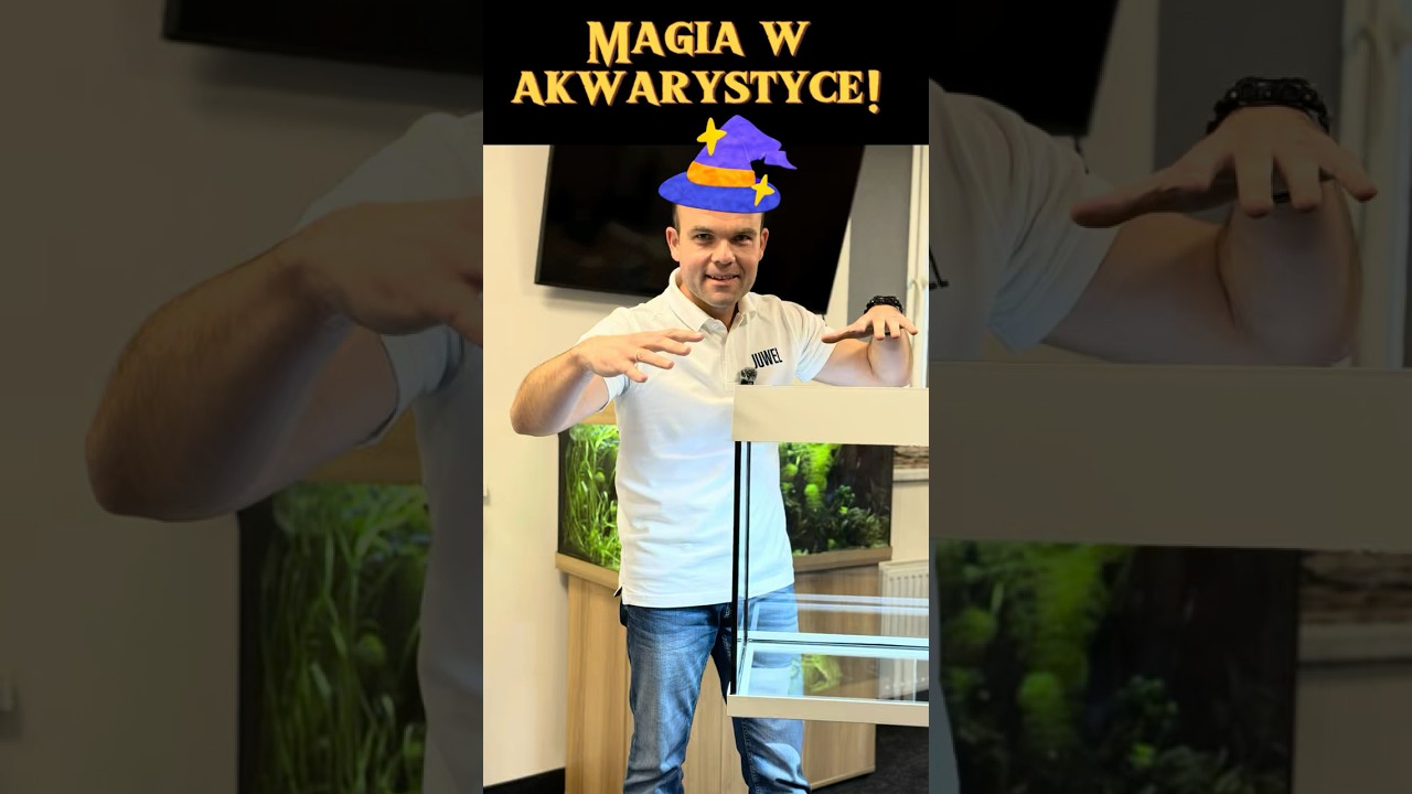 Akwarium wisi nad szafką | 🪄 Magia? Nie! To po prostu JUWEL ! #juwelpolska #juwel