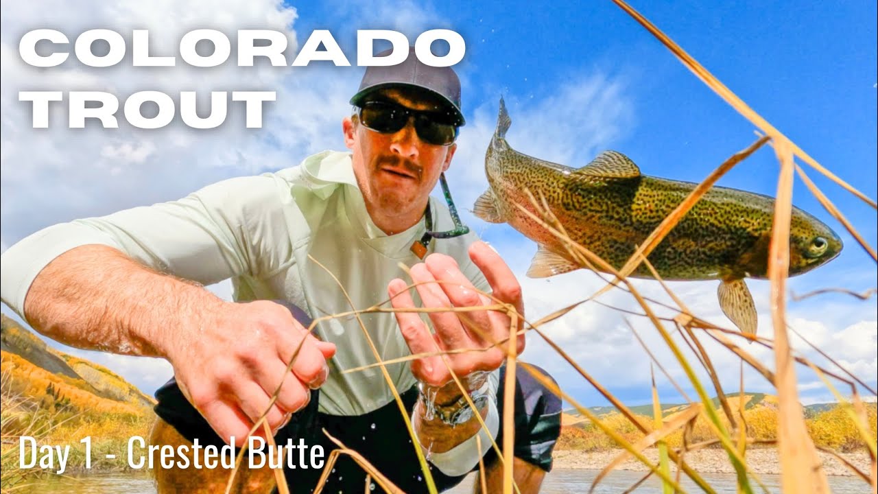 Trout Fishing on the East River – My 1st Day Fly Fishing in Colorado